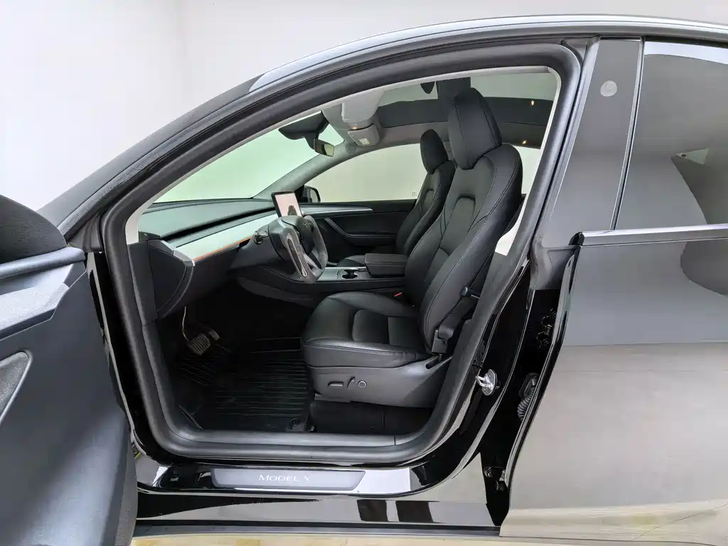 Tesla Model Y — миниатюра 4