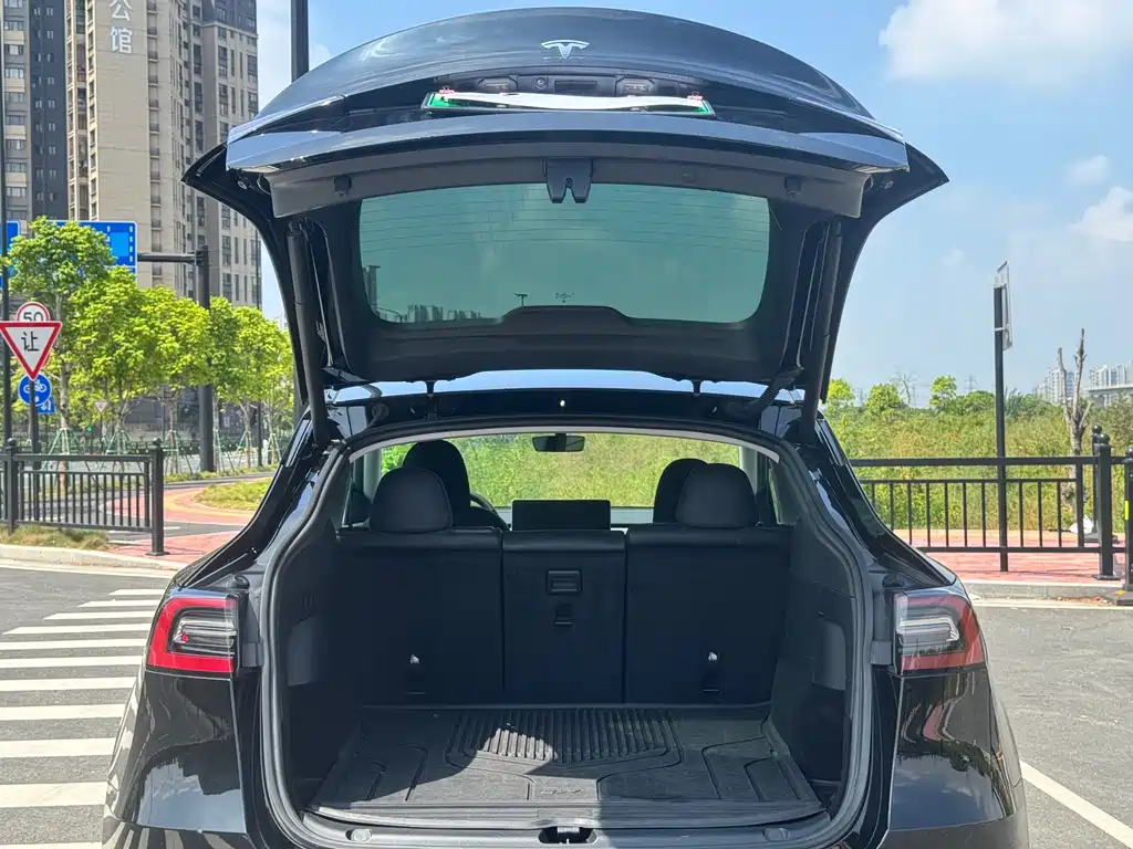 Tesla Model Y — миниатюра 13