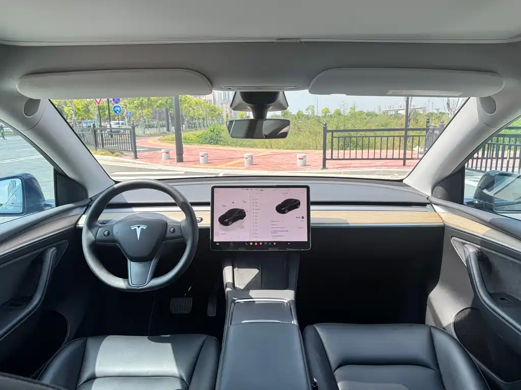 Tesla Model Y — миниатюра 9
