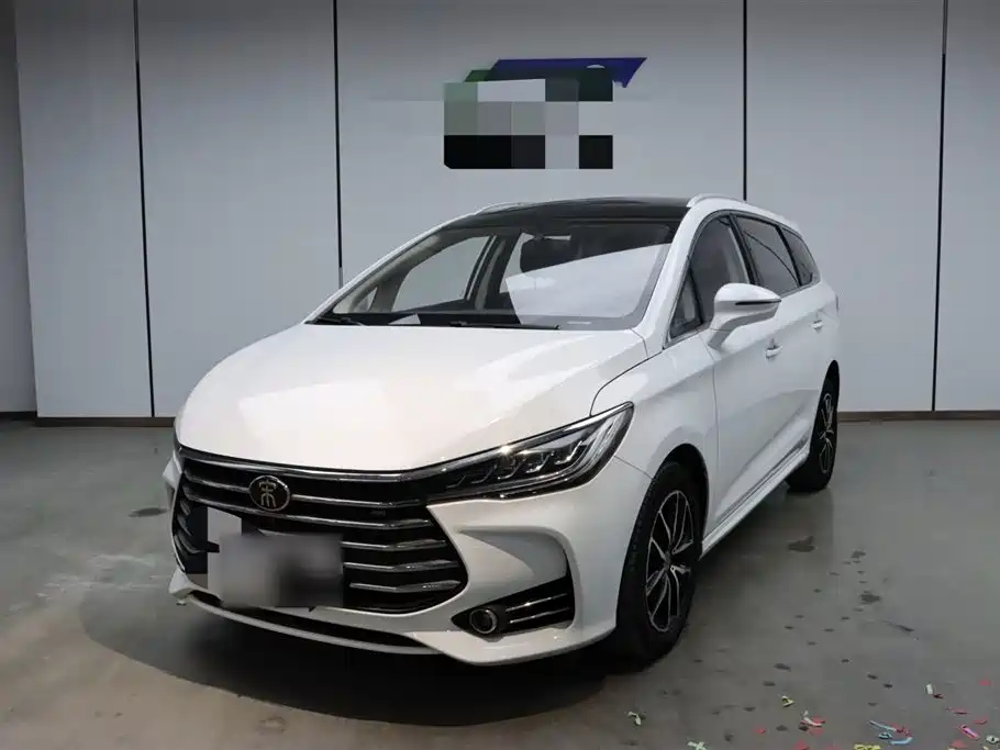 Byd MAX 2018