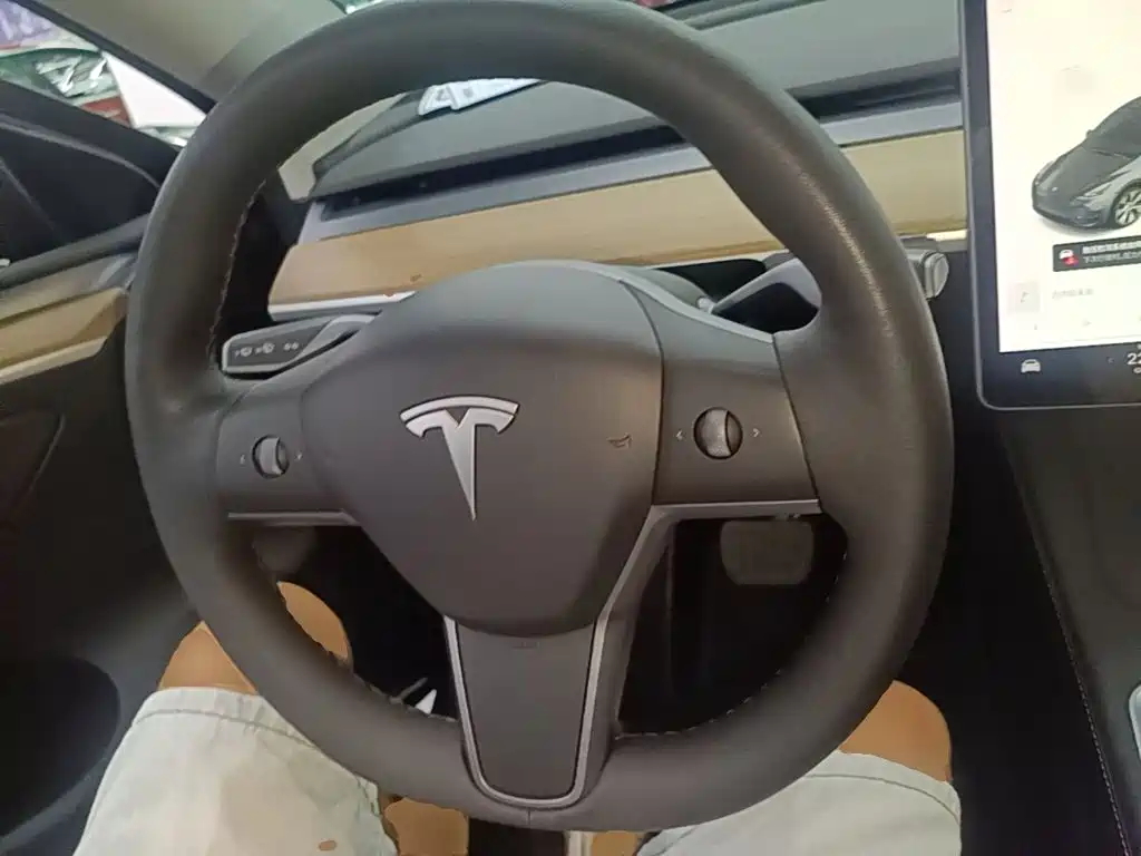 Tesla Model Y — миниатюра 11