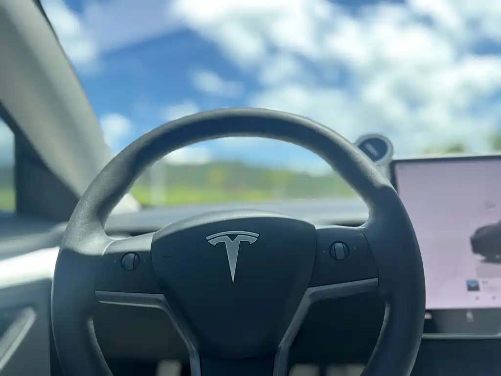 Tesla Model 3 — миниатюра 18