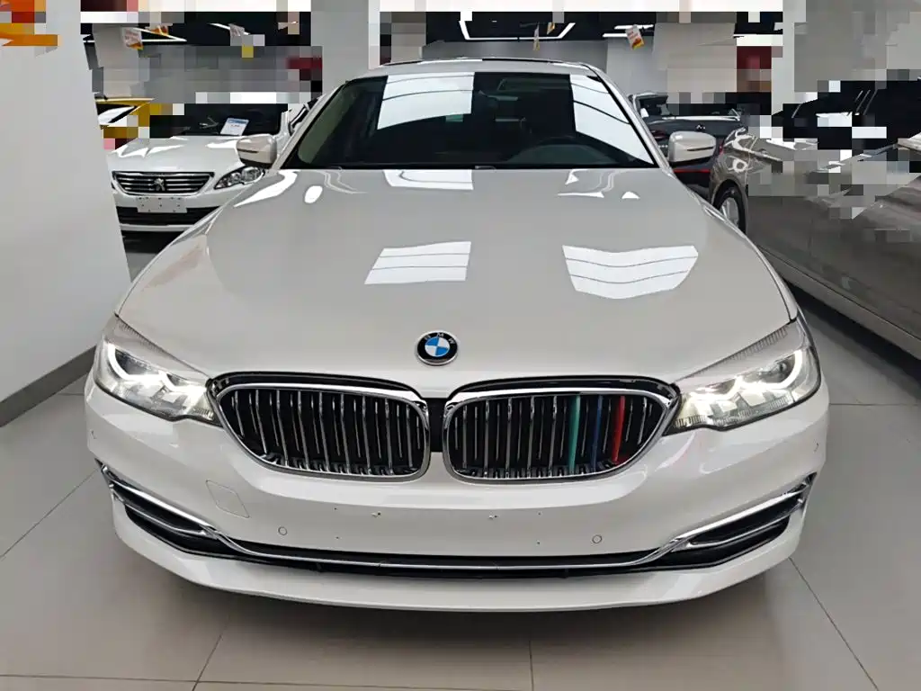 BMW 5 Series 5 2019 525Li Luxury