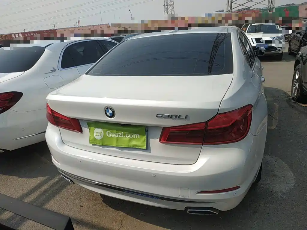 BMW 5 Series 5 2020 525Li Luxury