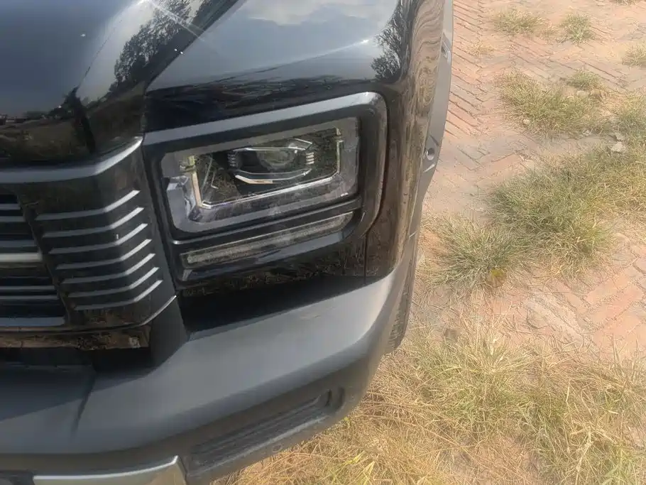 Haval Menglong New Energy — миниатюра 5