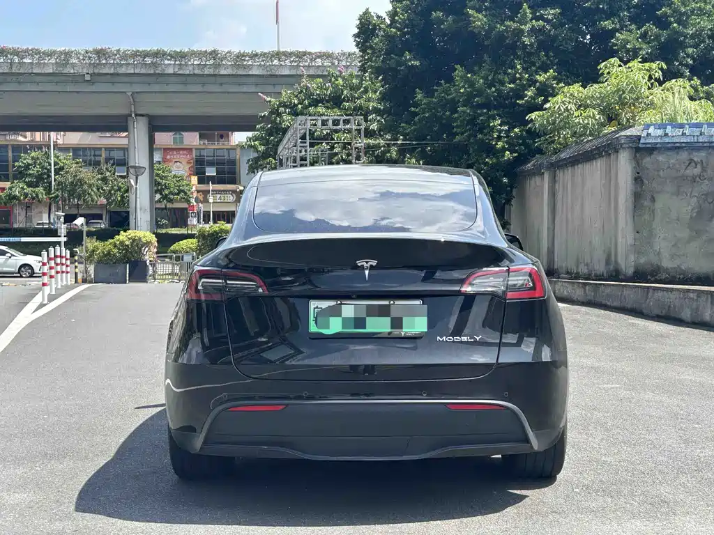 Tesla Model Y — миниатюра 5