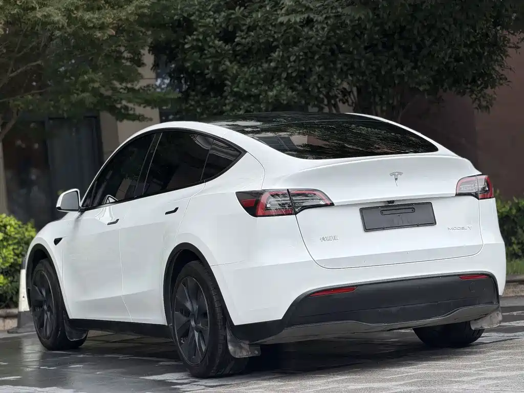Tesla Model Y — миниатюра 10