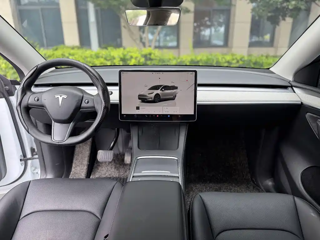 Tesla Model Y — миниатюра 5