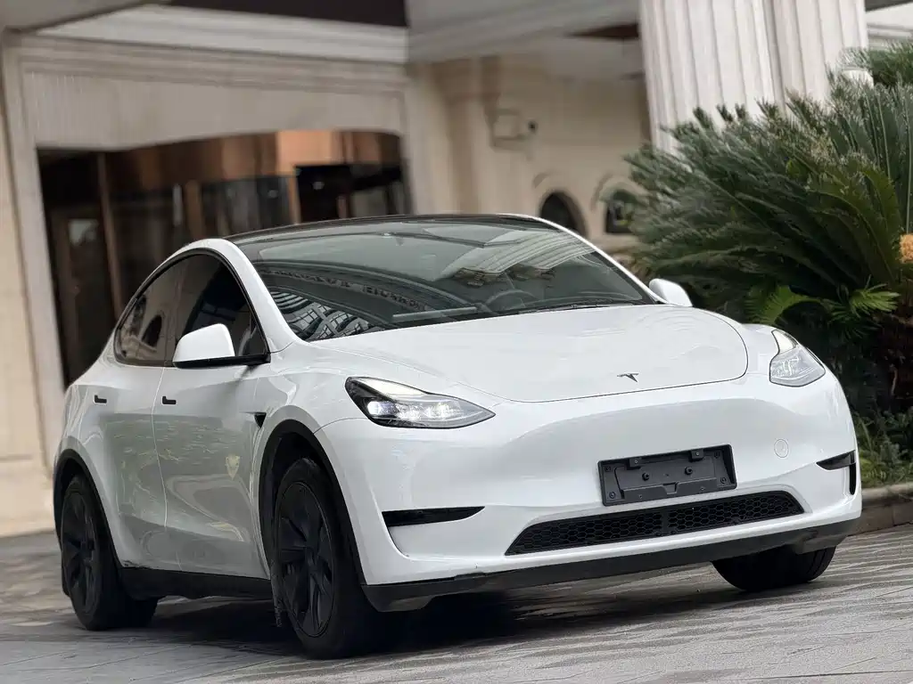 Tesla Model Y — миниатюра 3