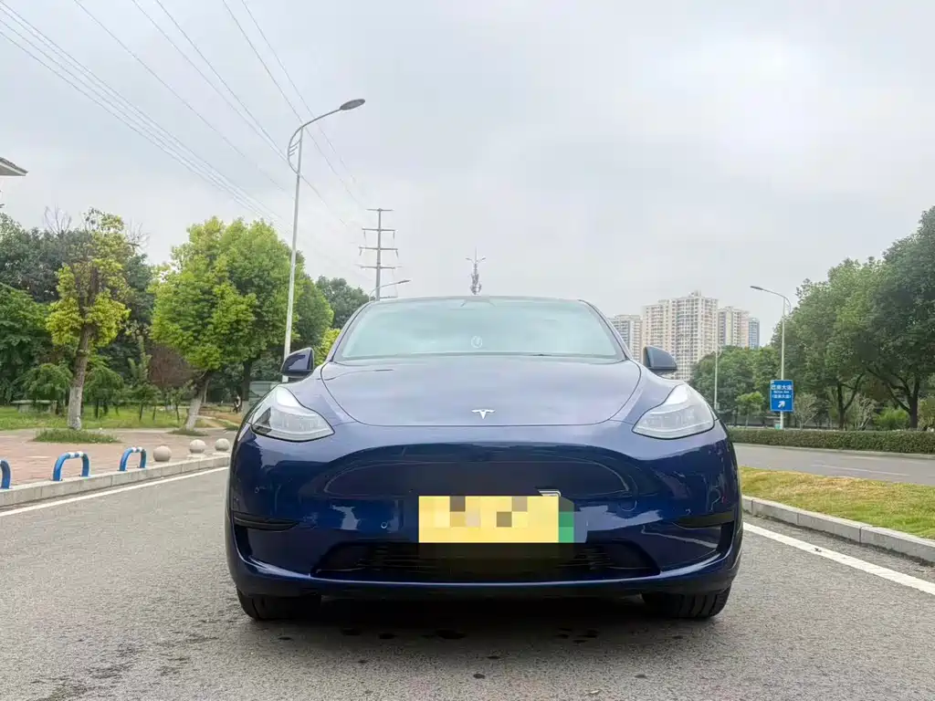 Tesla Model Y — миниатюра 2