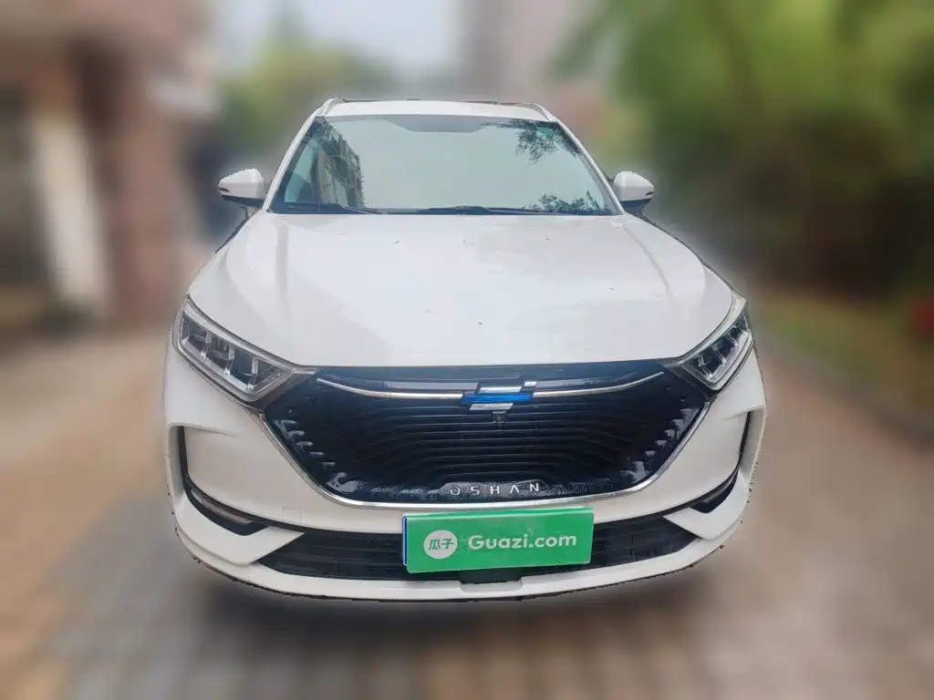 Oshan Oushang X7 — миниатюра 2
