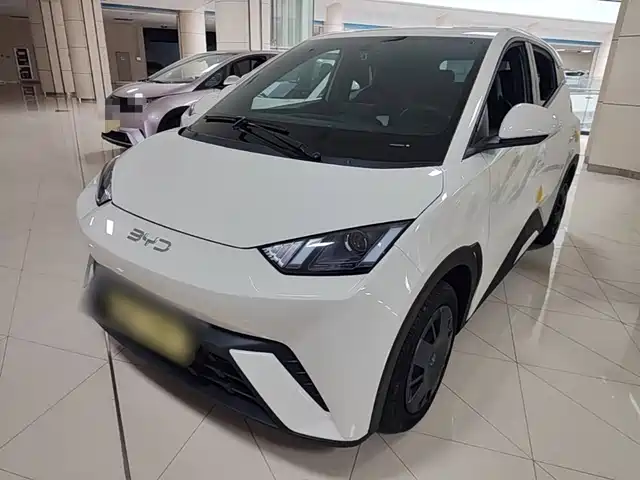 2025 BYD Seagull