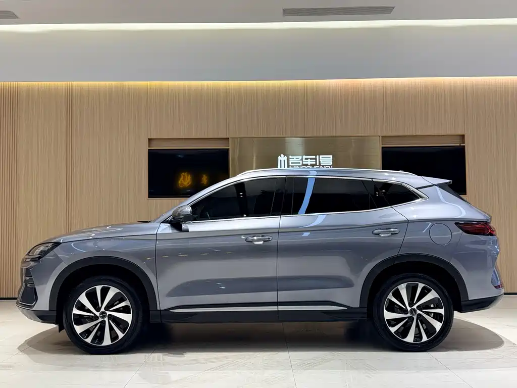 BYD SONGJIANG NEW ENERGY