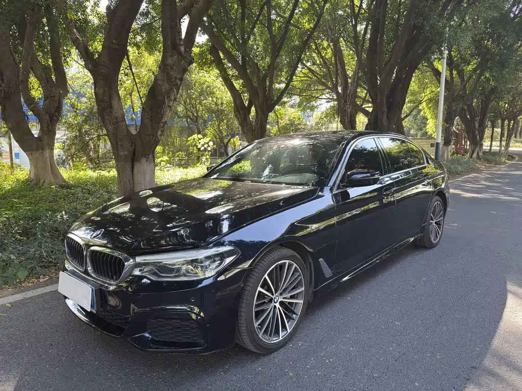 BMW 5 Series 2020