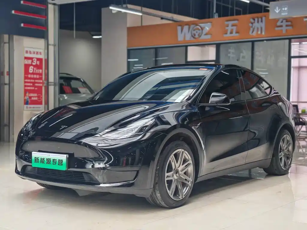Tesla Model Y — миниатюра 3