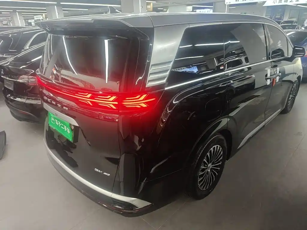 Denza Denza D9 — миниатюра 7