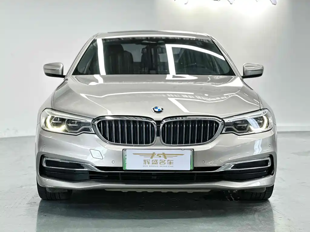 BMW  5 SERIES NEW ENERGY