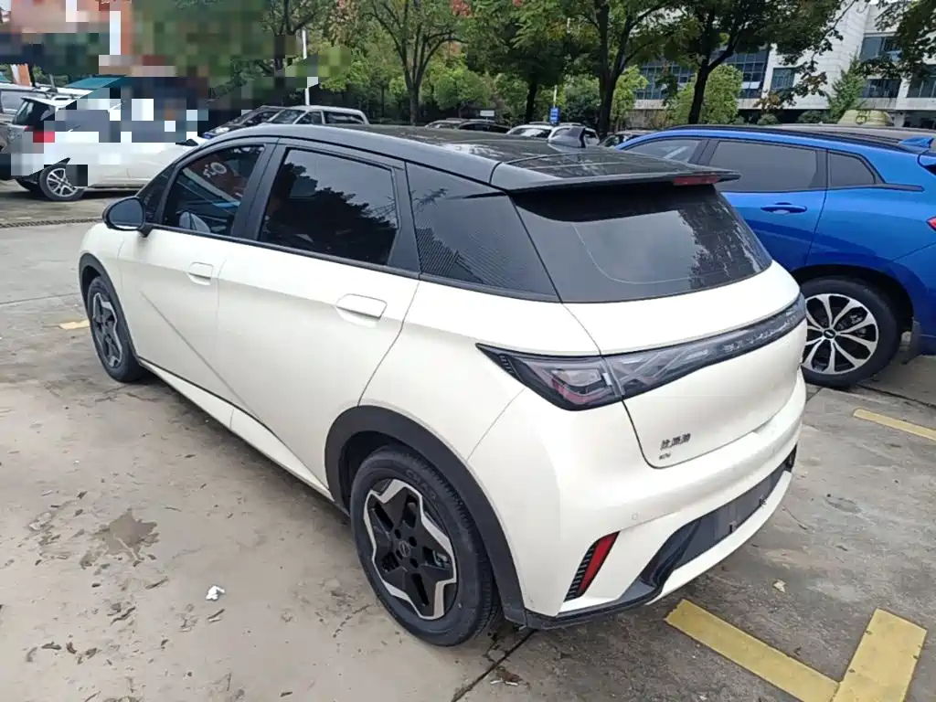 BYD Dolphin — миниатюра 5