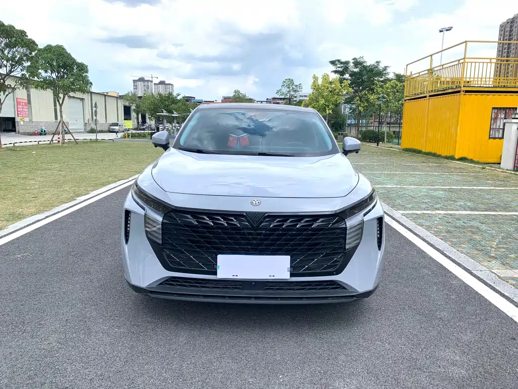 Venucia V 2022 260T