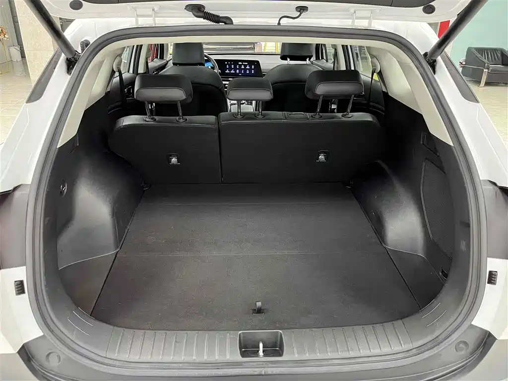 KIA LION PLATINUM EXPANDS THE WORLD