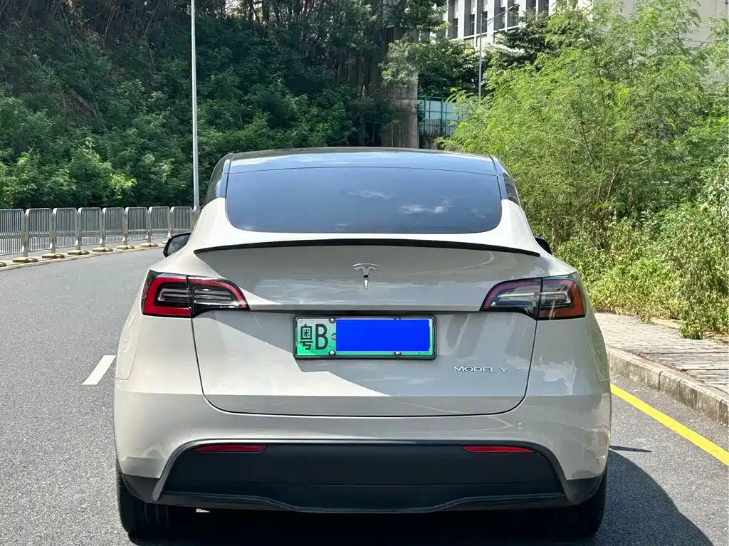 Tesla Model Y — миниатюра 8