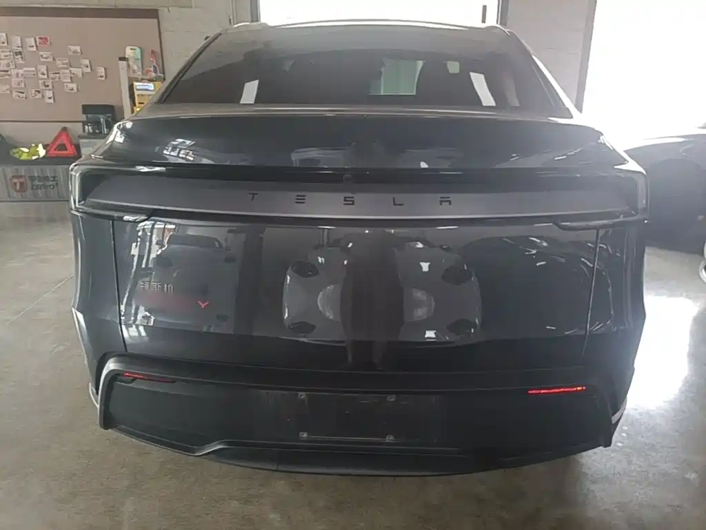Tesla Model Y — миниатюра 6