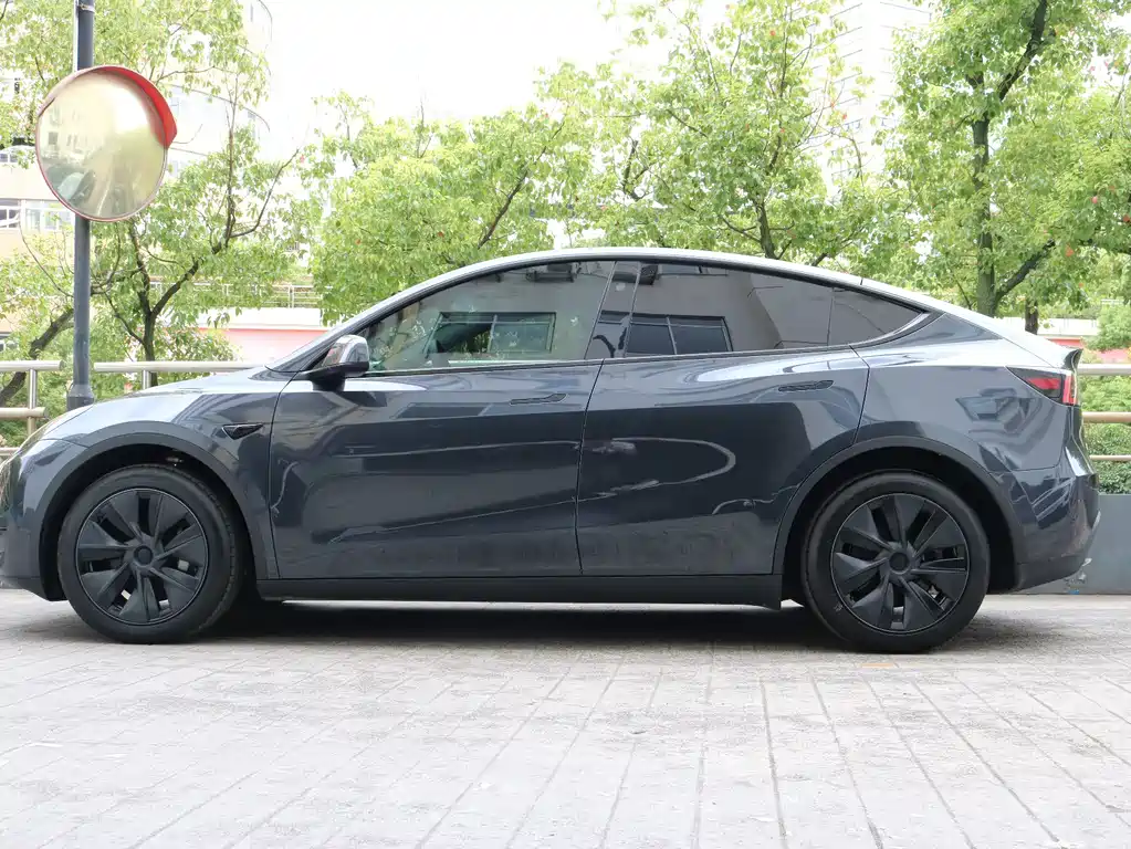 Tesla Model Y — миниатюра 2