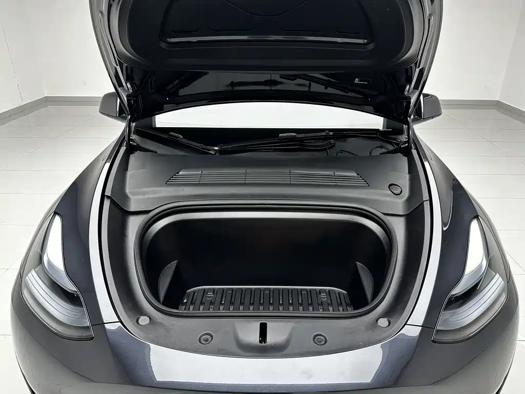Tesla Model Y — миниатюра 18