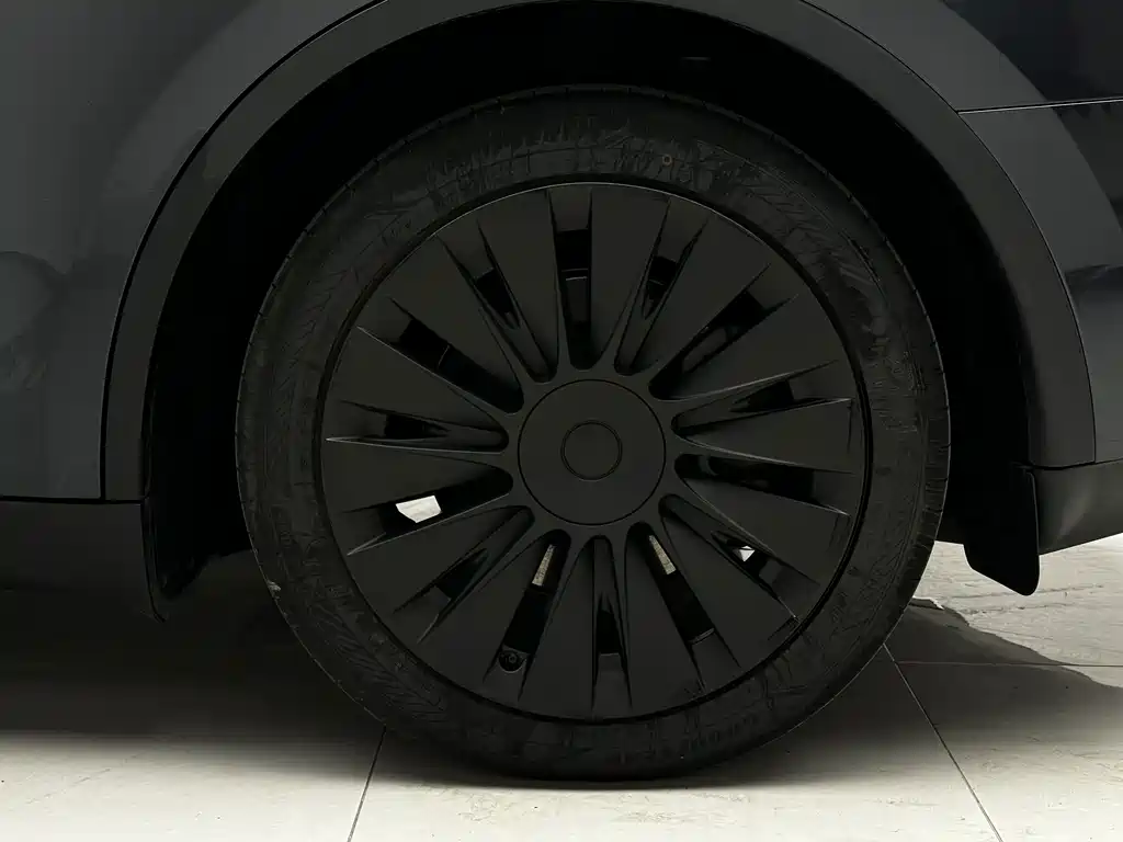 Tesla Model Y — миниатюра 19