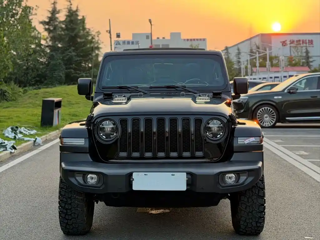 Jeep Wrangler 2.0T Rubicon 4-door Edition, фото 2