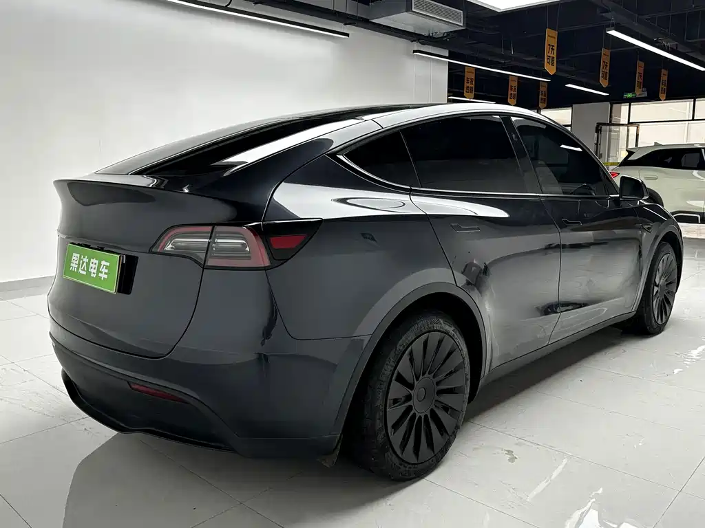 Tesla Model Y — миниатюра 8