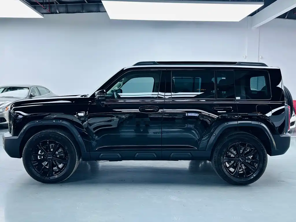Haval Menglong New Energy — миниатюра 12