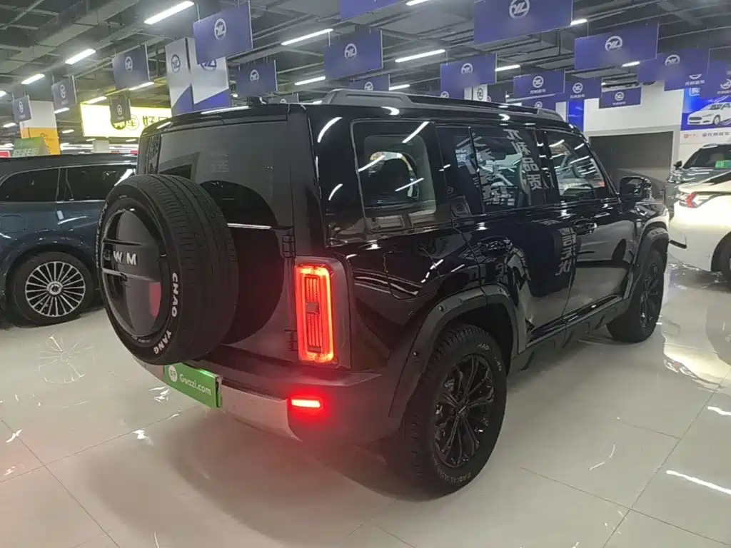 Haval Menglong New Energy — миниатюра 7