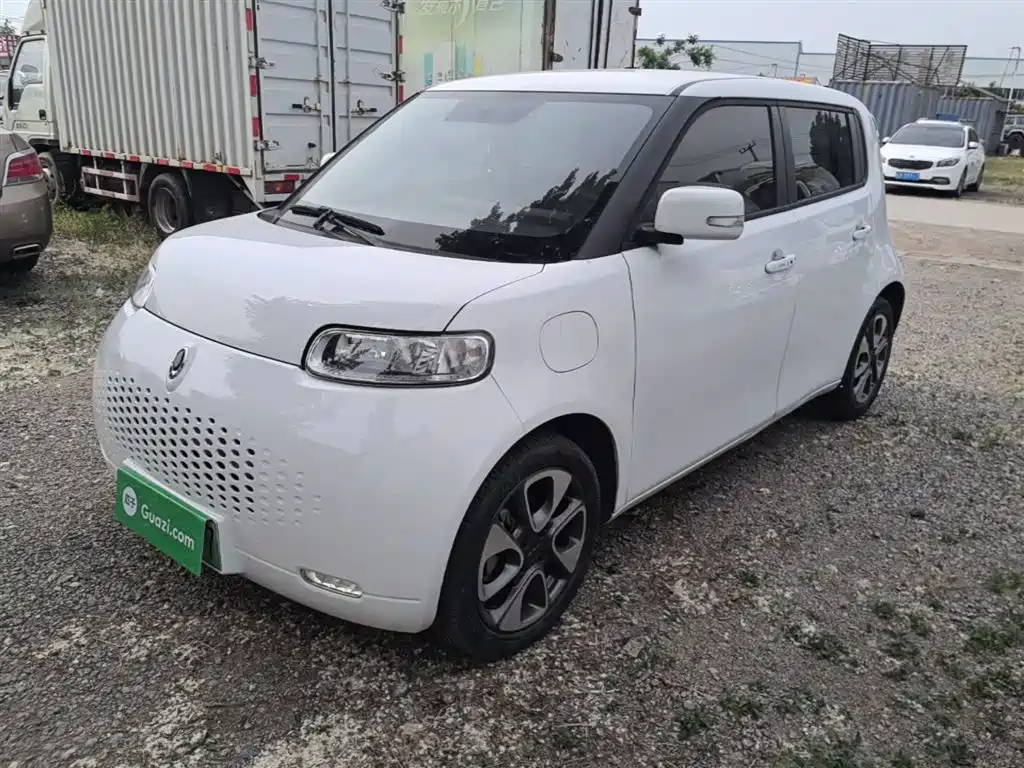Ora Ora White Cat 2021