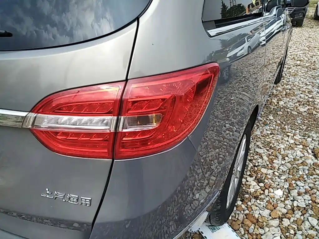 Buick GL8 — миниатюра 8