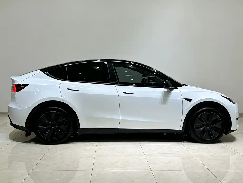 Tesla Model Y — миниатюра 4