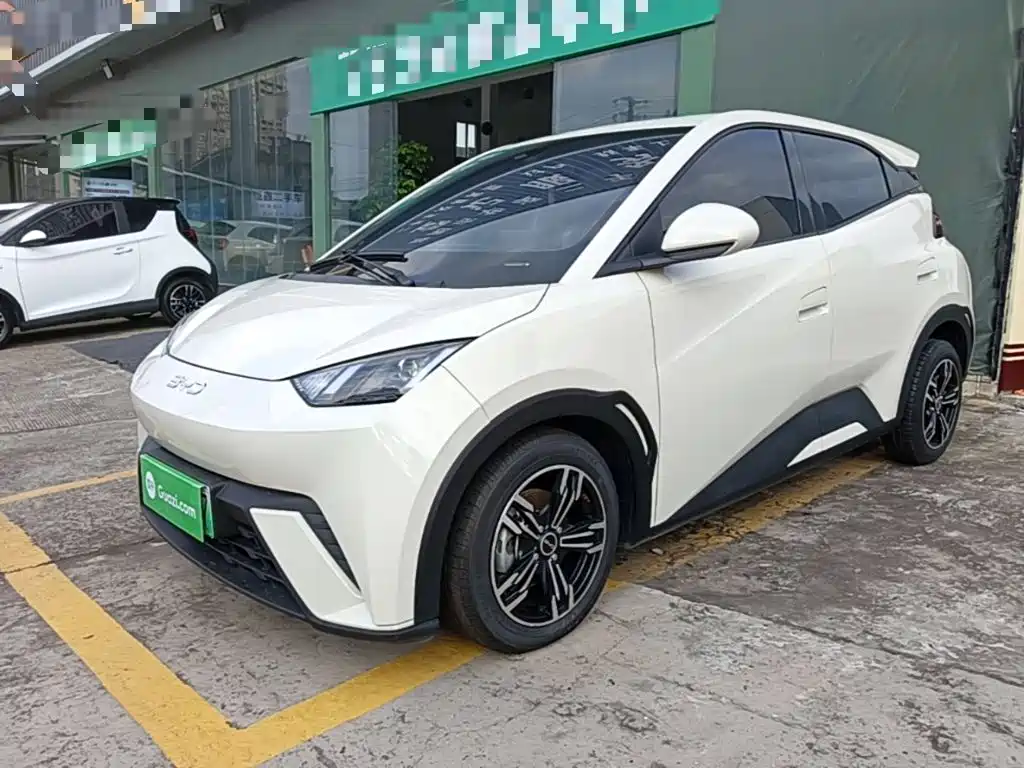 BYD Seagull