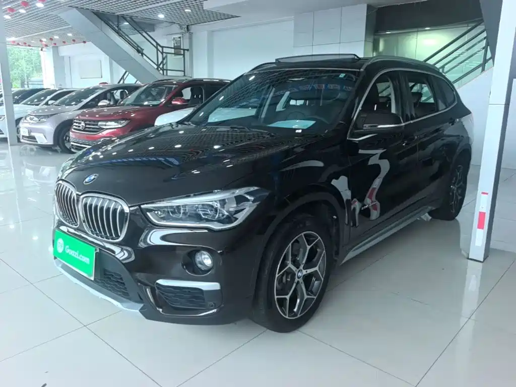 BMW X1 — миниатюра 2