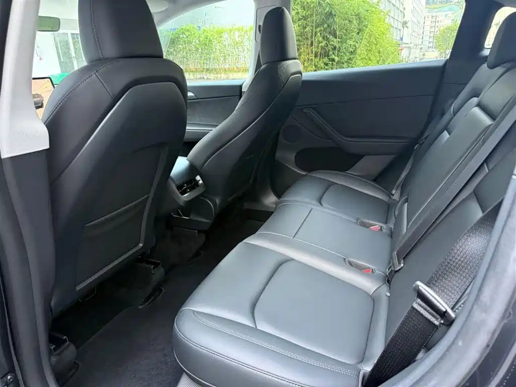 Tesla Model Y — миниатюра 5