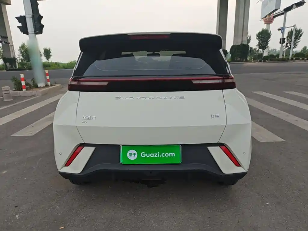 BYD Seagull 2024 305km
