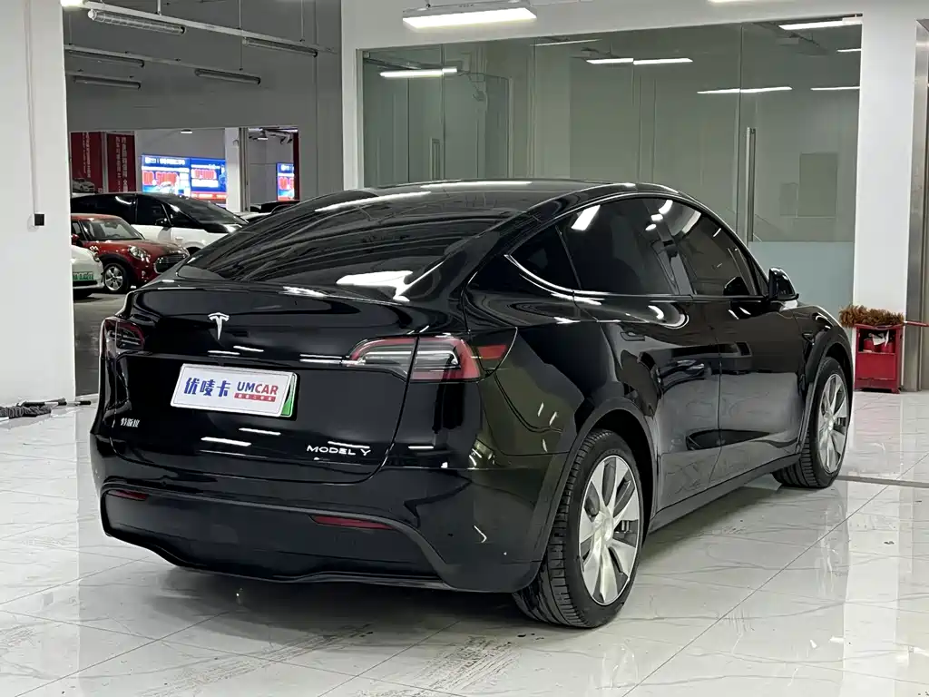Tesla Model Y — миниатюра 6