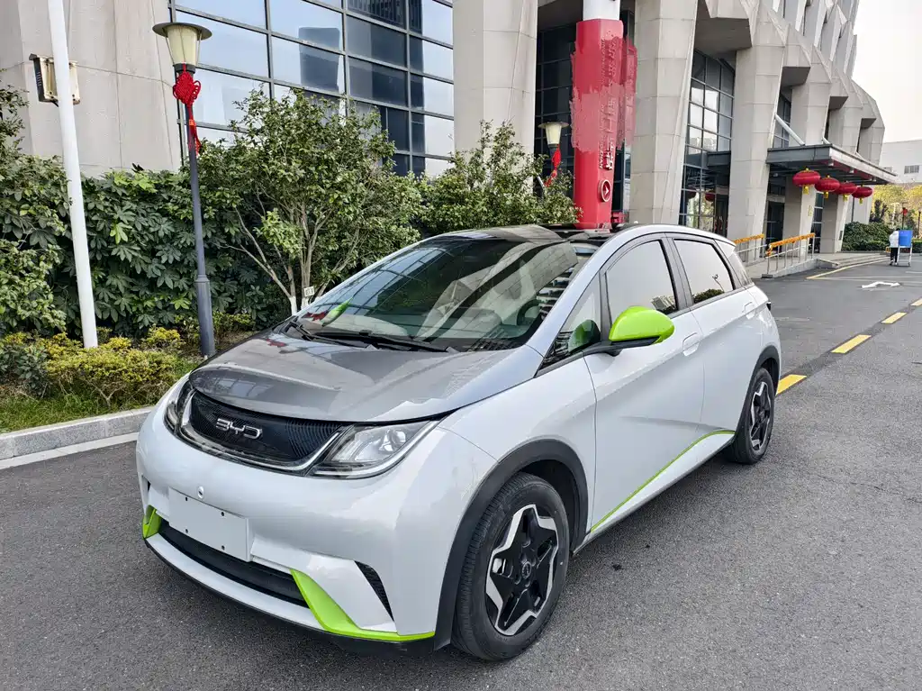 BYD DOLPHIN