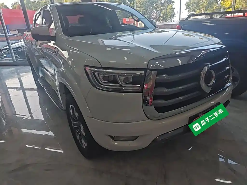 Great Wall Pao — миниатюра 4