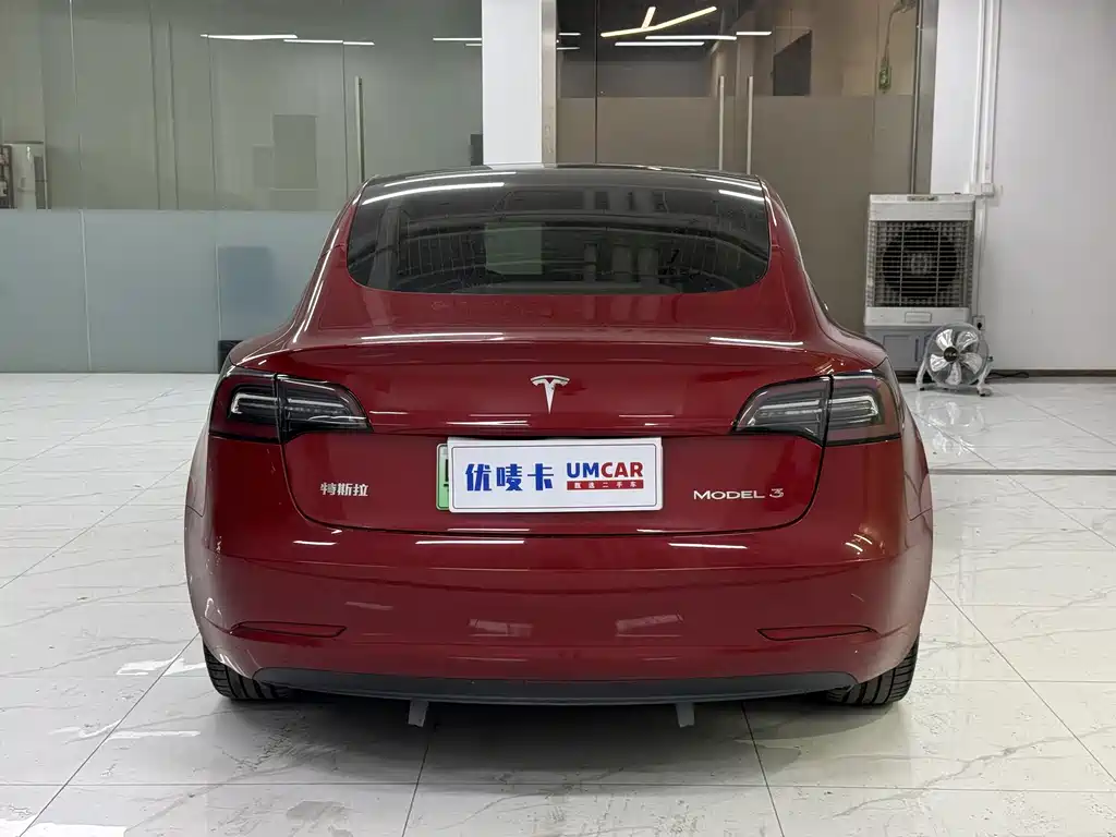Tesla Model 3 — миниатюра 5