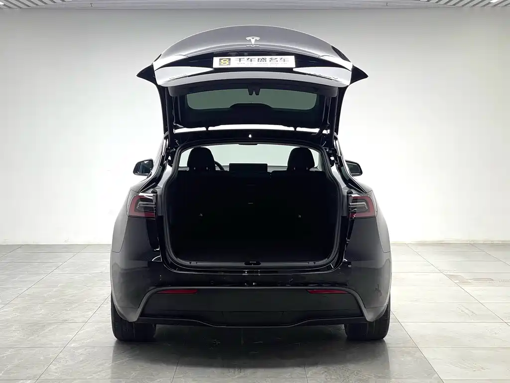 Tesla Model Y — миниатюра 10