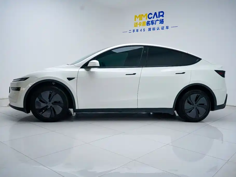Tesla Model Y — миниатюра 10