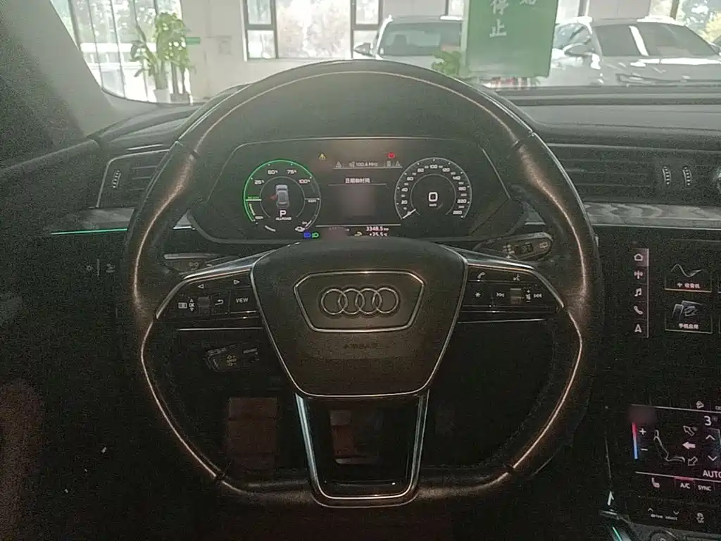 Audi e-tron (Import) — миниатюра 11