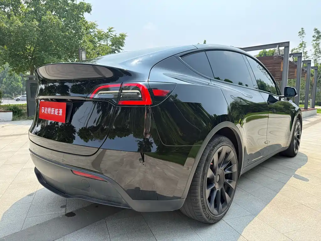 Tesla Model Y — миниатюра 8