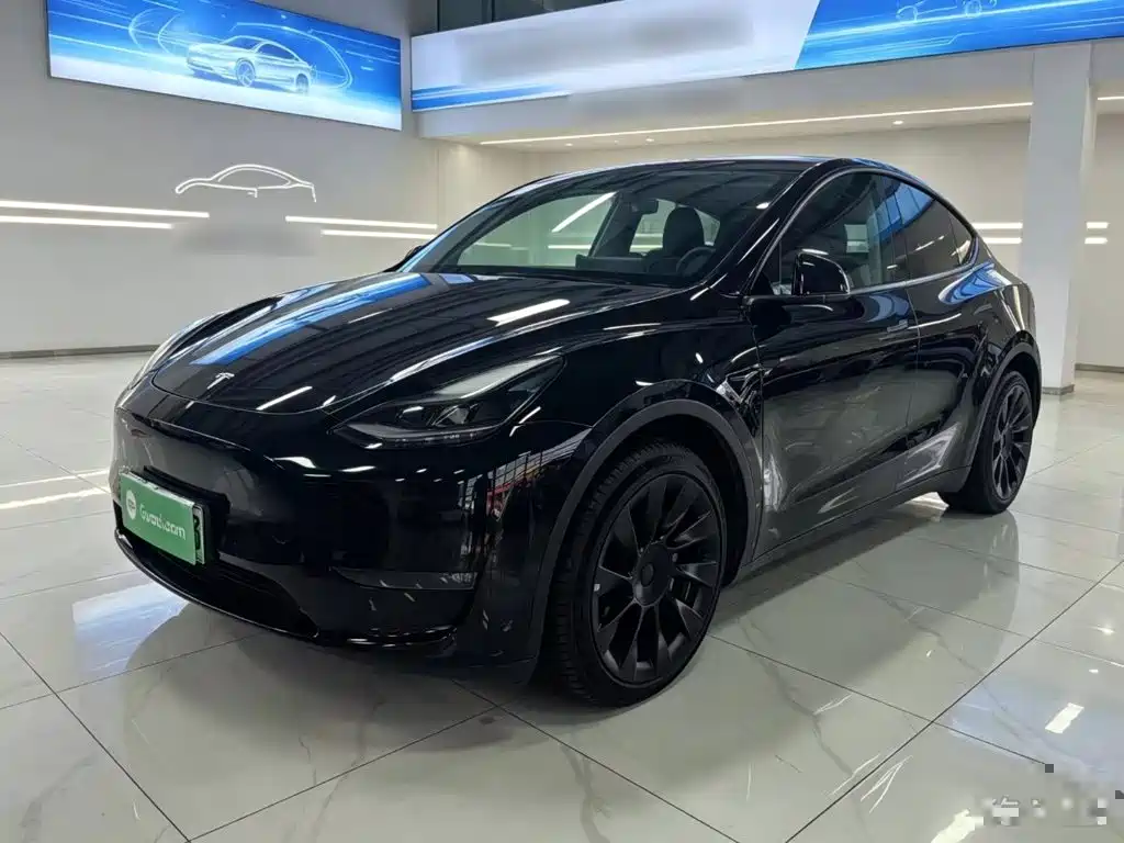 Tesla Model Y — миниатюра 2