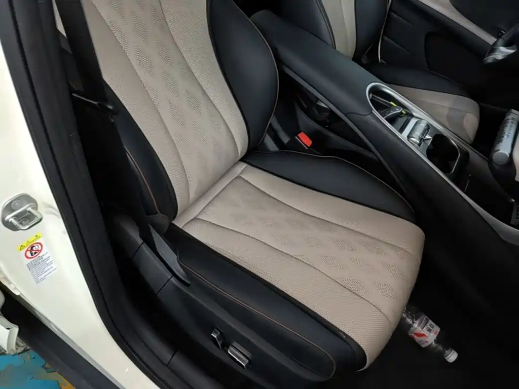 BYD Dolphin — миниатюра 25